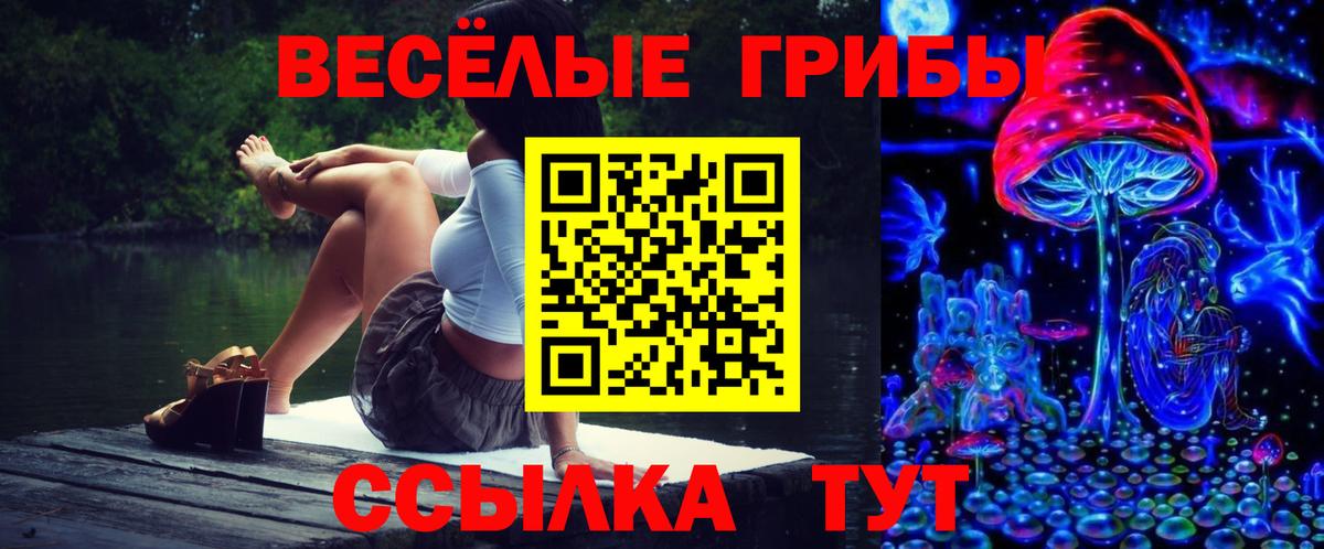Аксай  Галлюциногенные грибы мухоморы  Вход с VPN  Галлюциногенные грибы Psilocybine cubensis 